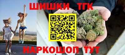 стаф Будённовск