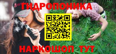 стаф Будённовск